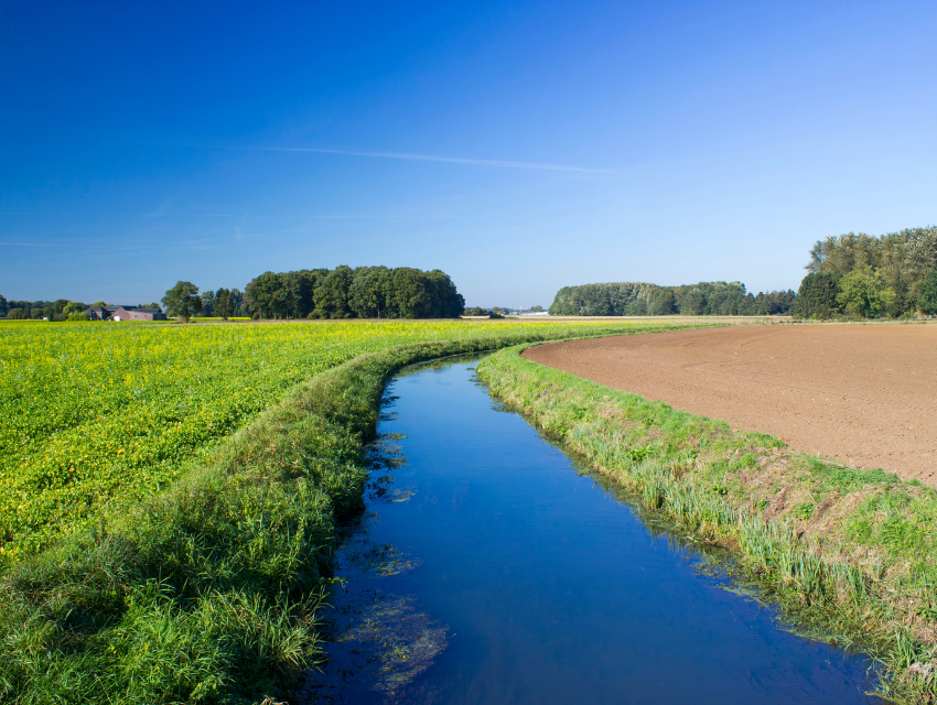 Ökologischer Landbau und Gewässerschutz